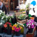 Graduate Development Programme