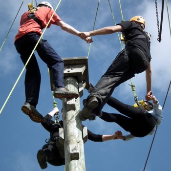 Graduate Development Programme