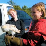 Country Pursuits Team Building Event