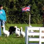 Country Pursuits Team Building Event