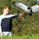 Country Pursuits Team Building Event