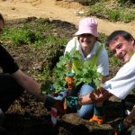 Team Building Event - QuestEventsUK-1088.jpg